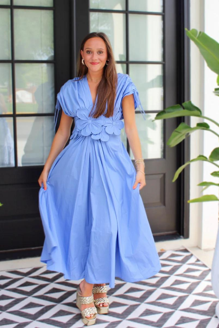 Hydrangea Maxi