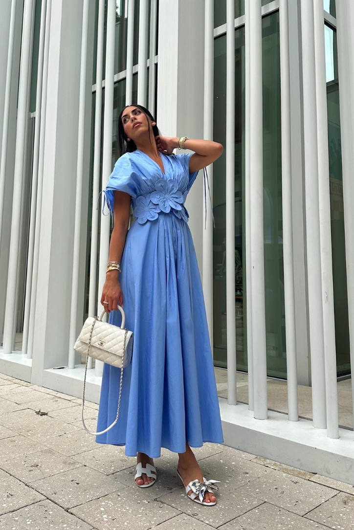 Hydrangea Maxi